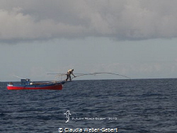 Peto-fisherman on EL HIERRO,Canary Islands.
Since no ind... by Claudia Weber-Gebert 